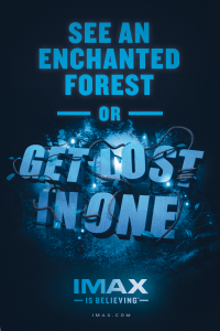 Fall_Campaign_Forest_v3_10232012